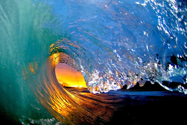 orange_crush_800_grande.jpg?v=