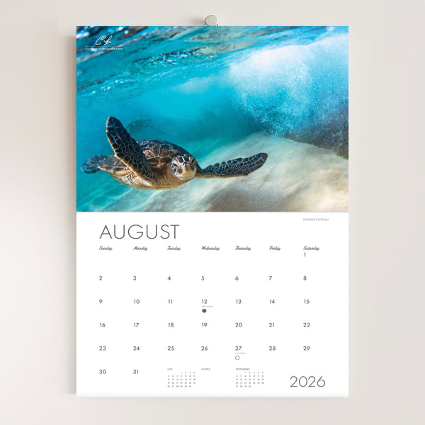 2026 Ocean Calendar