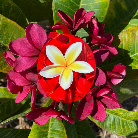 oval shaped ornament with a plumeria in the center