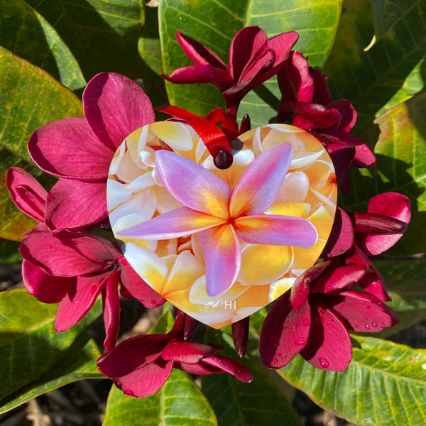 heart shaped ornament with pink and purple plumeria in the middle