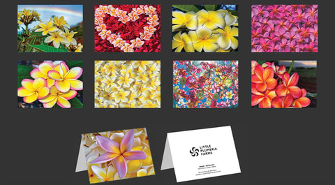 Plumeria Greeting Cards - Variety 9 Pack