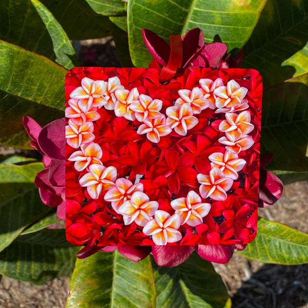 square ornament filled with plumeria 