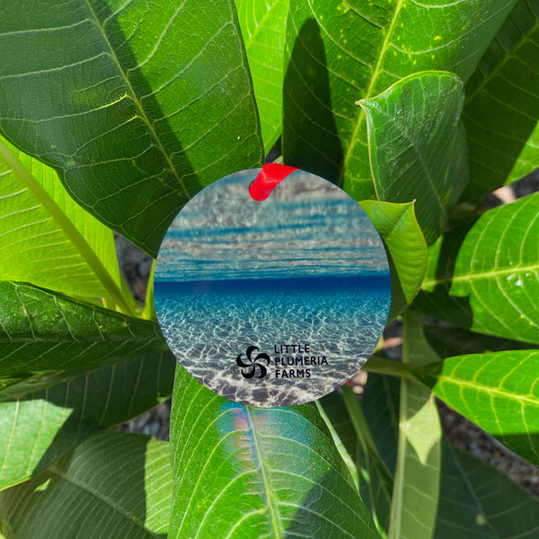 Aluminum Ornament: Candy Stripe - back