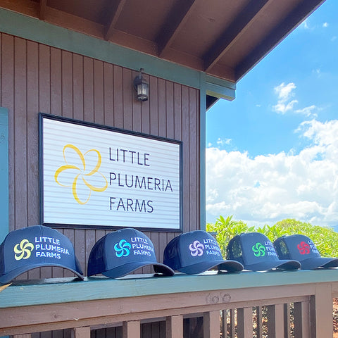farm hats all colors