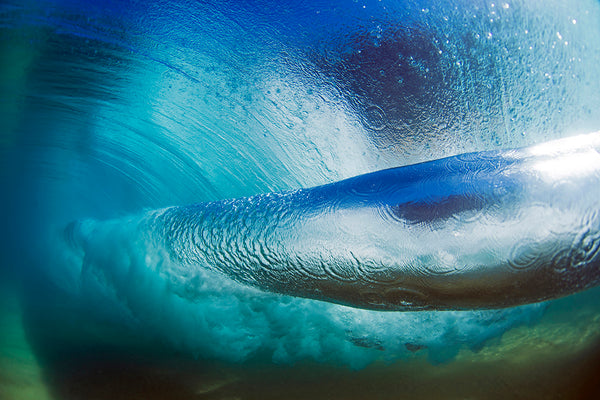 Hachi Oh クラゲ 5点 H2ornado - Clark Little Photography