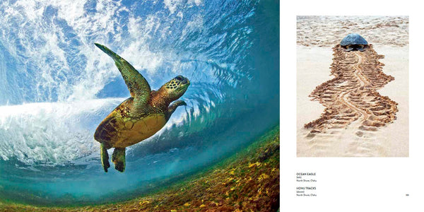 Clark Little: The Art of Waves - Collector's Edition