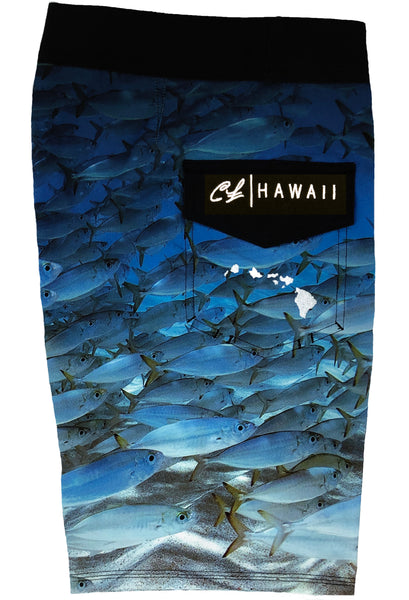 Mens Boardshorts: Akule