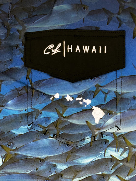 Mens Boardshorts: Akule