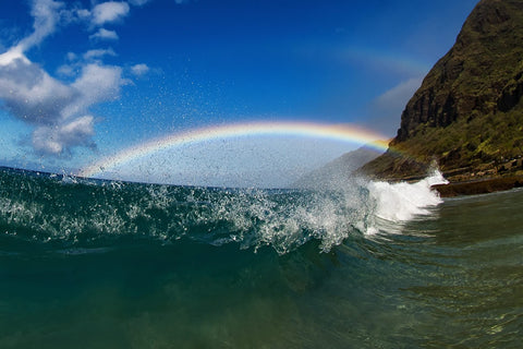 Rainbow Wahine