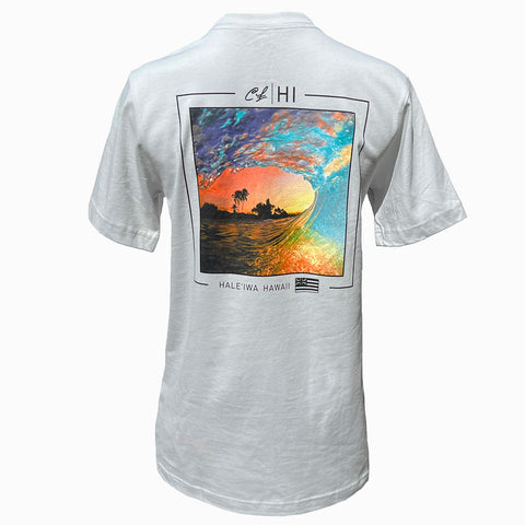 Mens Short Sleeve T-Shirt: RSI (Silver)