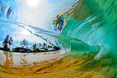 behind_the_barrel_800_medium.