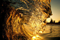 Bling - Clark Little Photography