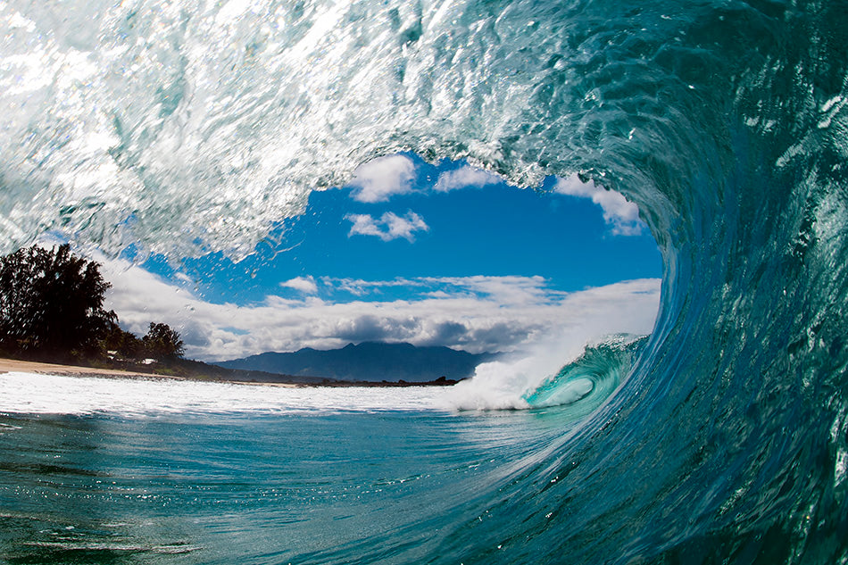 Double Barrel - Clark Little Photography