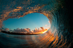 garden_isle_800_medium.jpg?v=