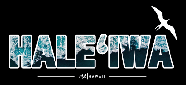 Mens T-Shirt: Haleiwa White Wash