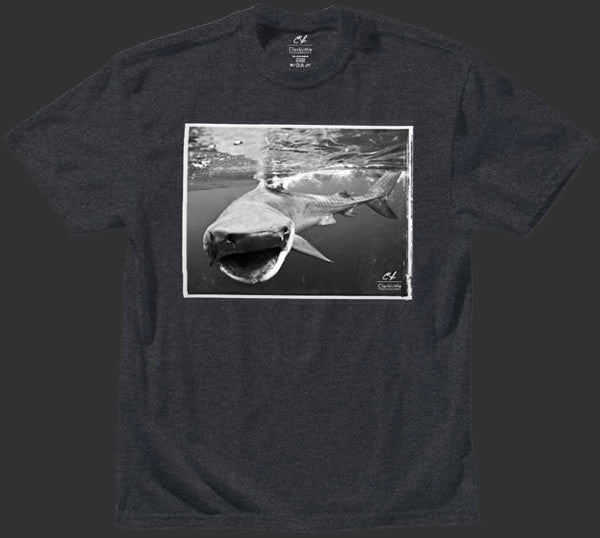 Mens T-Shirt: Tiger Shark (charcoal)