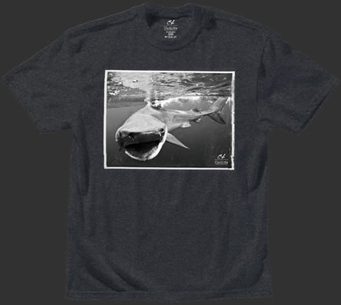 Mens T-Shirt: Tiger Shark (charcoal)
