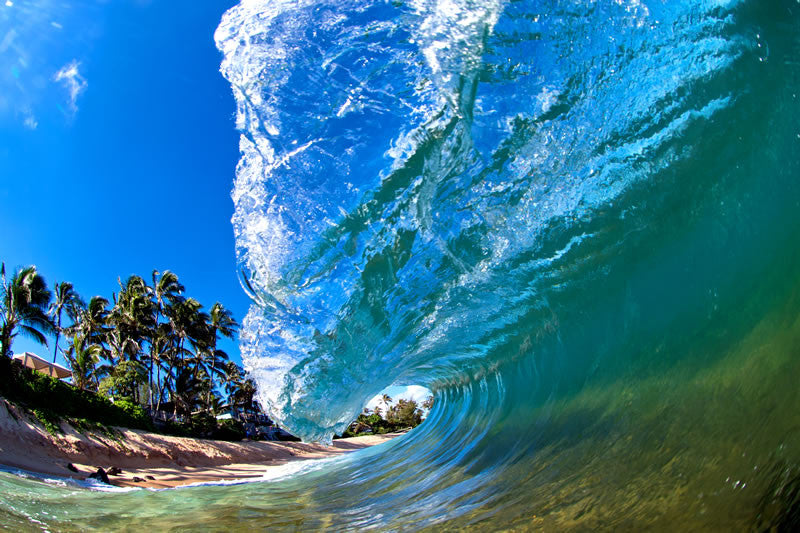 Oceanfront - Clark Little Photography
