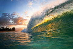 pineapple_express_800_medium.