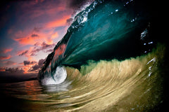 pink_flash_800_medium.jpg?v=