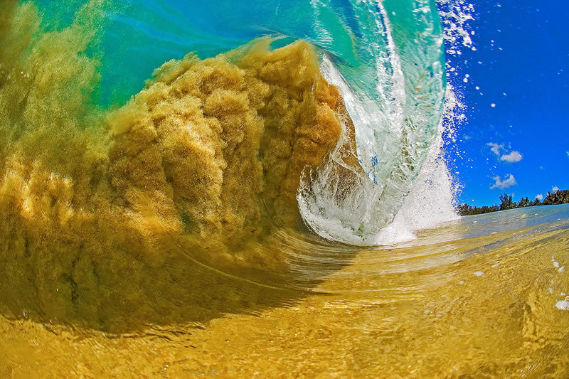 monsters in the sand Sand Monster