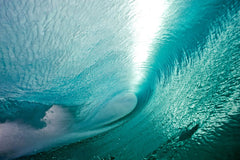 silver_surfer_800_medium.jpg?v