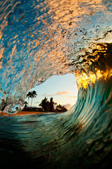 the_view_800_medium.jpg?v=