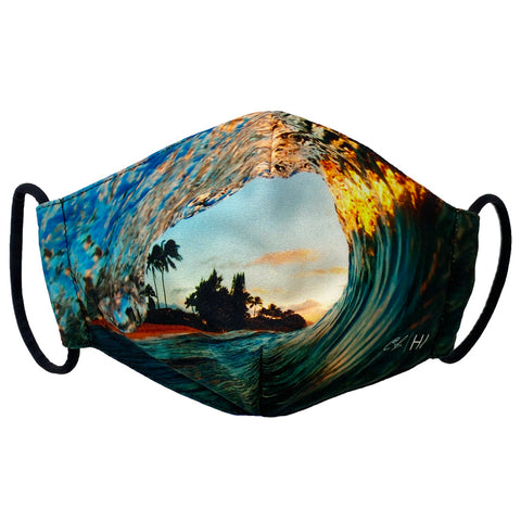 CL Face Mask: The View