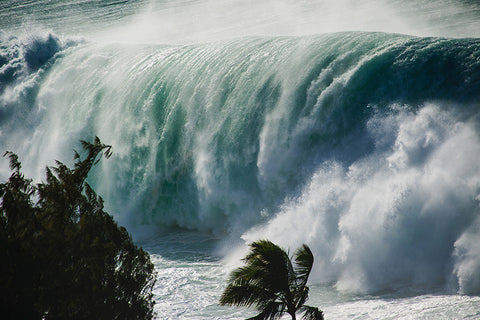 Eddie: Big Wave