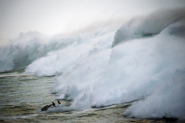 Eddie: Jet Ski Avalanche